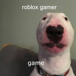 roblox gamer games
