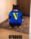 10Xtlp