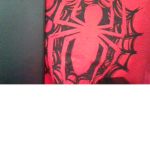 TheSpiderGroup
