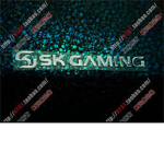 The Gaming Marathon