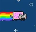 NYAN CAT FANS!!!!!