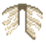 Waah
