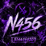 Network 456
