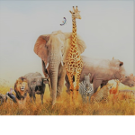 ~The Little Zoo~