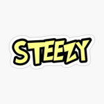 STEEZY DRIP