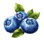 Blueberry Kingdom?
