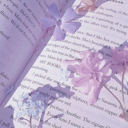 ⋆｡ﾟ☁︎｡⋆｡ ﾟ☾ ﾟ｡⋆