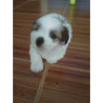 Qaaaaaaww