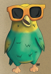 Los pajaros pros