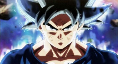 Dragon ball z [goku life]