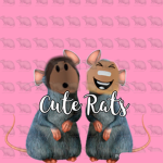 cute rats