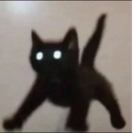 RandomAsh13's Group