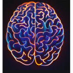 THE BIG MINDS