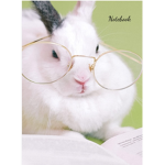 Rabit's