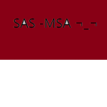SAS -MSA ¬_¬