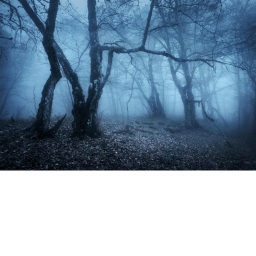 the rake