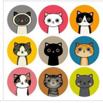 jazzy's cool cat group