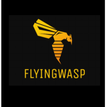 Arsenal flyingwasp tournament