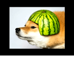 Vraidloss