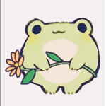 The ra!nbow frogs