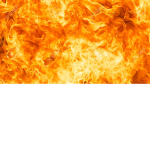 The Fir st Fire Squad