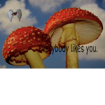 Weirdc()re Hang()ut