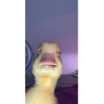 kstsrurjkzykrzkmyrznzfhhfFhN