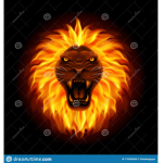 fire lions forever