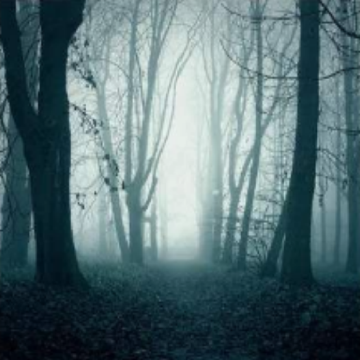 Creepy forest Roblox decal