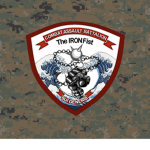 Combat Assault Battalion "The Iron Fist"