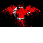 NFD Türkiye