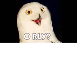 O RLY?