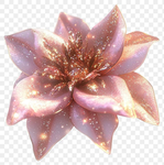 xzora
