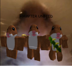 Hampter united