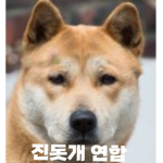 진돗개 연합