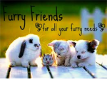 Furry Friends Pet Shop