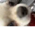 Idk helloio