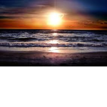 Ocean Sunset's