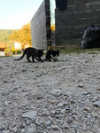 Ajli&Freunde