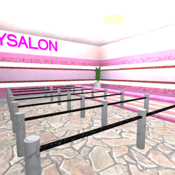 Riy Salon (Re-Made)