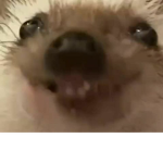 mwa :]