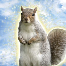 Squirrel Worship