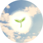 Seedstrocity
