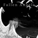 FallenAngels (NA)