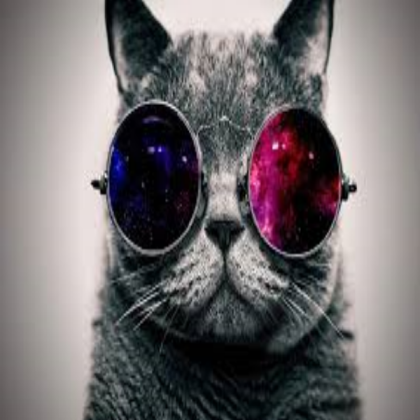 cat Roblox decal