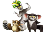 lemur lords 私