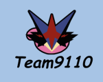 Team9110