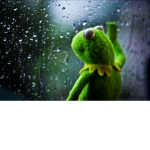 Kermit_squad