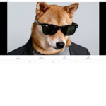 Dogss_