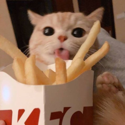 uwu e
